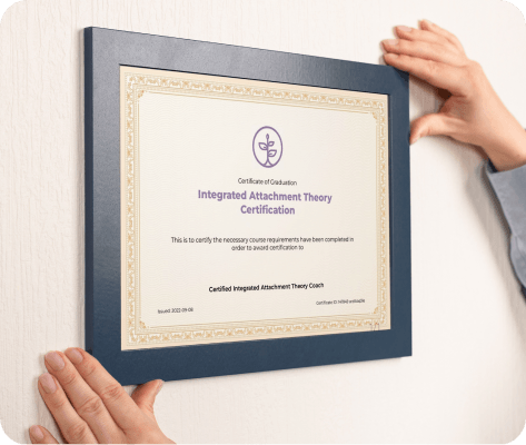 IAT Certificate Framed on a Wall